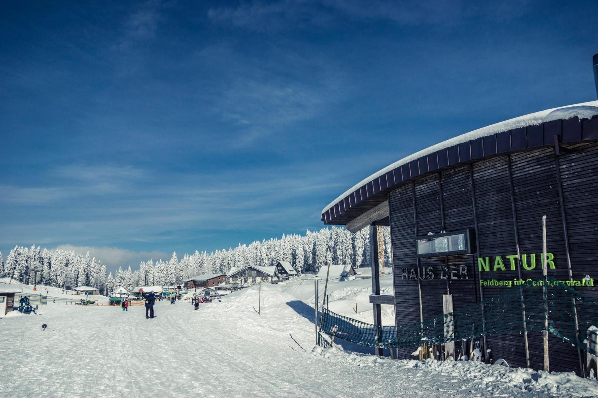 Drei Tannen - Wohnung 07 - Apartmenthaus, Titisee, Feldberg Екстер'єр фото