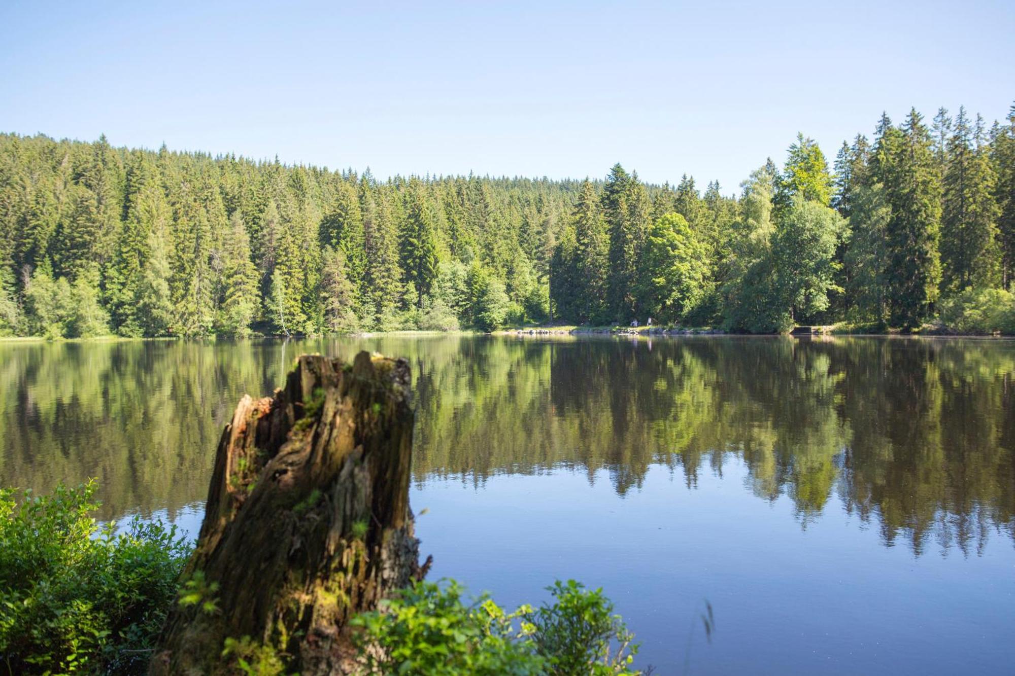 Drei Tannen - Wohnung 07 - Apartmenthaus, Titisee, Feldberg Екстер'єр фото